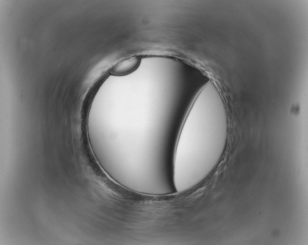 X0000094170296200710260915