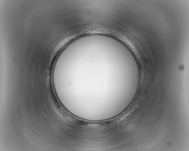 X0000094170298200710260915