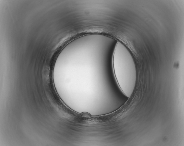 X0000094170300200710260915