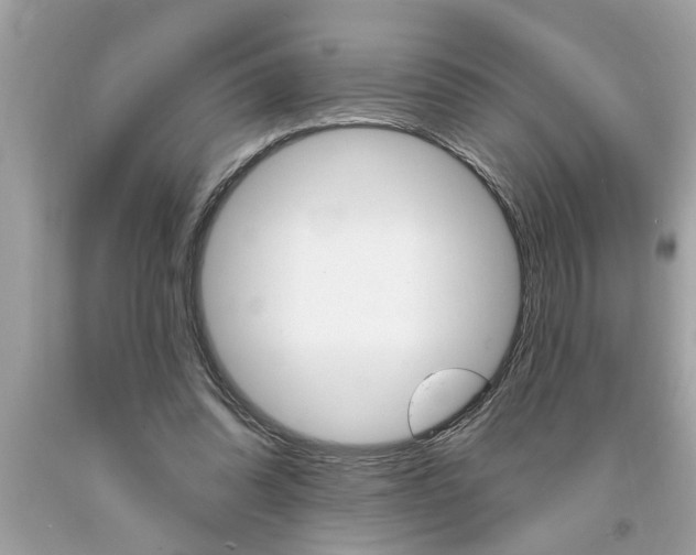 X0000094170302200710260915