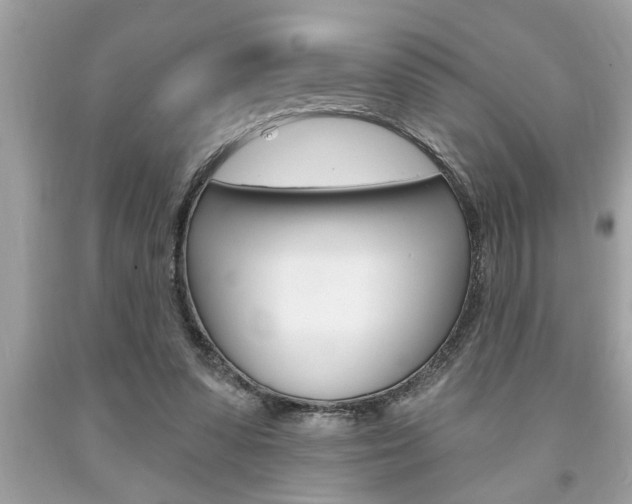 X0000094170303200710260915
