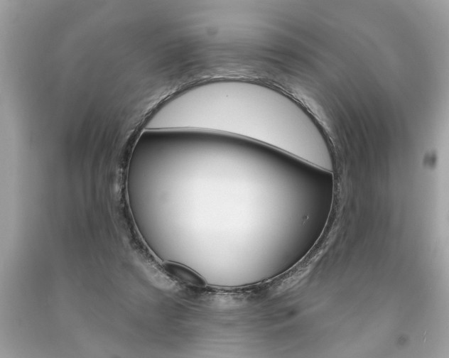 X0000094170305200710260915