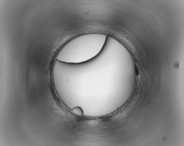 X0000094170306200710260915