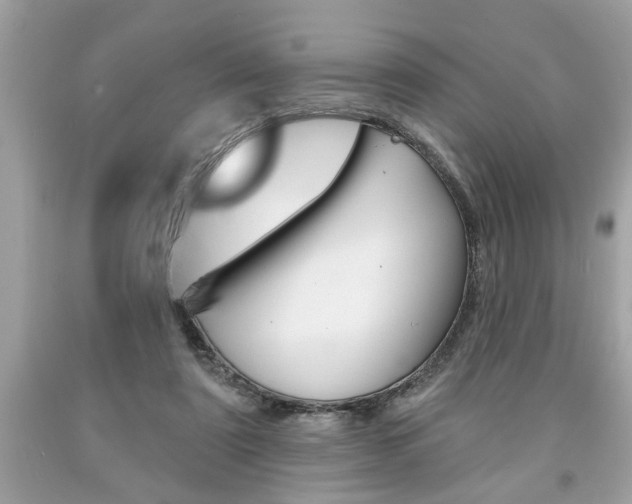 X0000094170307200710260915