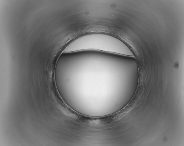 X0000094170309200710260915