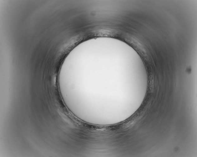 X0000094170310200710260915