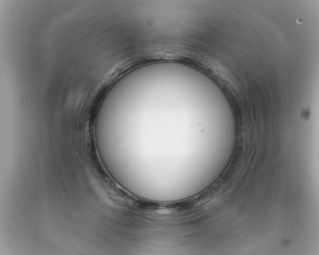 X0000094170312200710260915