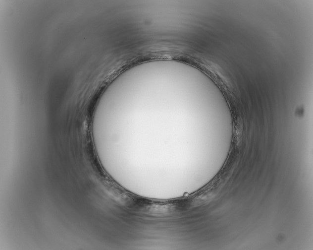X0000094170314200710260915