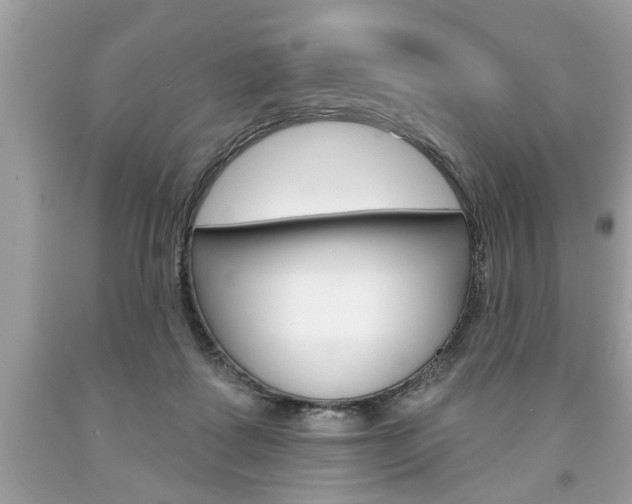 X0000094170315200710260915