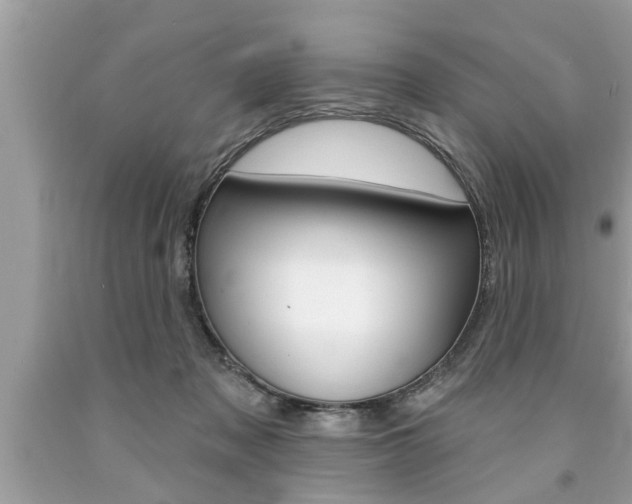 X0000094170317200710260915