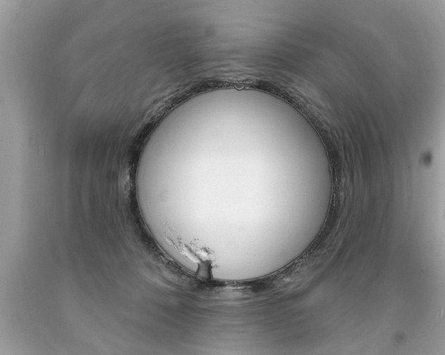 X0000094170320200710260915