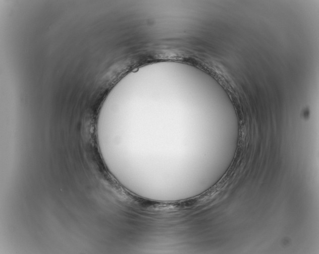 X0000094170322200710260915