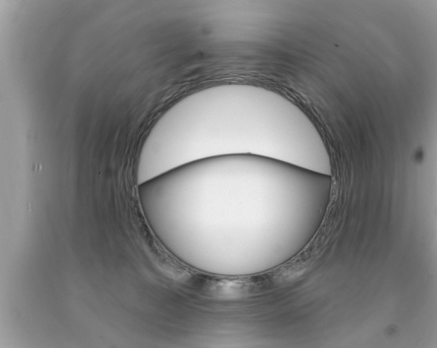 X0000094170323200710260915