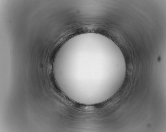 X0000094170324200710260915