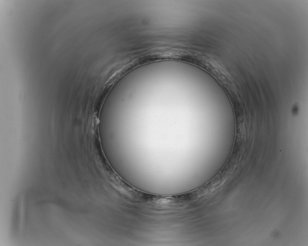 X0000094170325200710260915