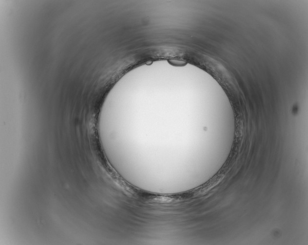 X0000094170326200710260915