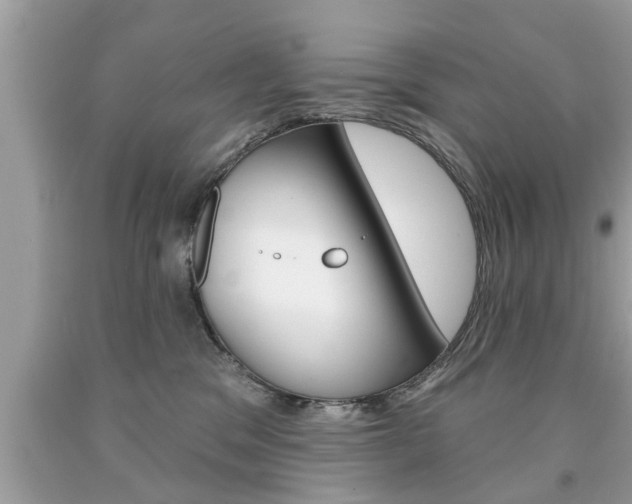 X0000094170329200710260915