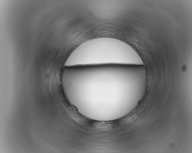 X0000094170331200710260914