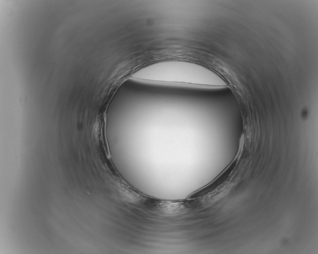 X0000094170333200710260914