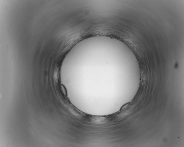X0000094170334200710260914