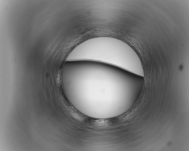 X0000094170335200710260914