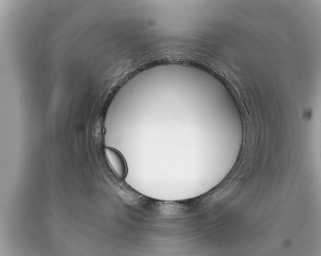 X0000094170336200710260914