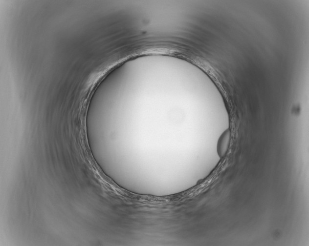 X0000094170337200710260914