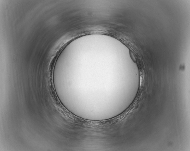 X0000094170339200710260914
