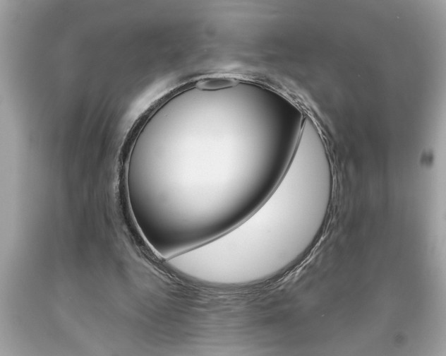X0000094170344200710260914