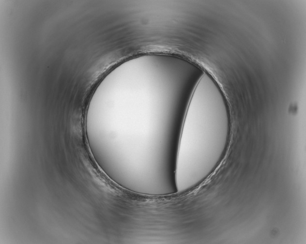X0000094170345200710260914