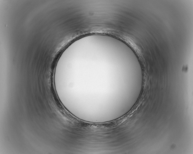 X0000094170346200710260914