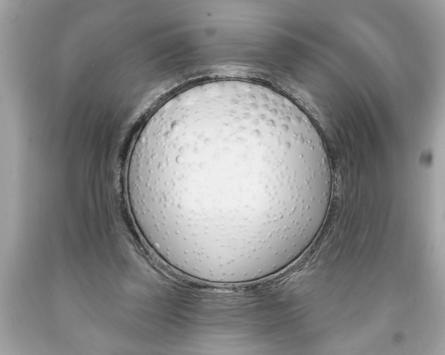 X0000094170347200710260914