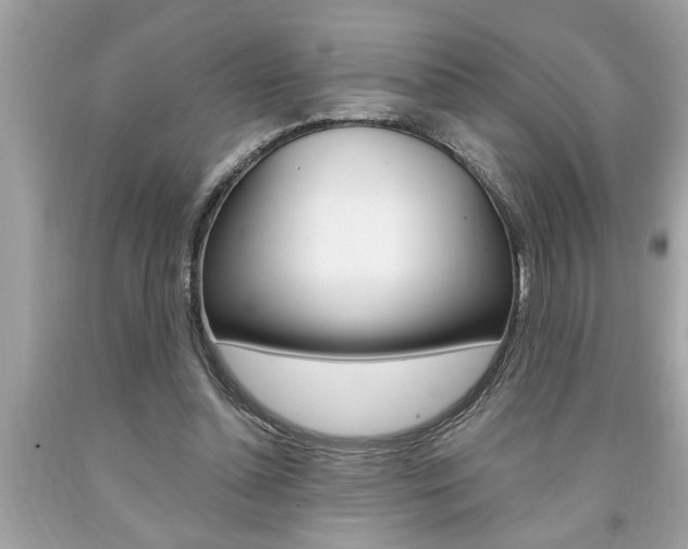 X0000094170348200710260914