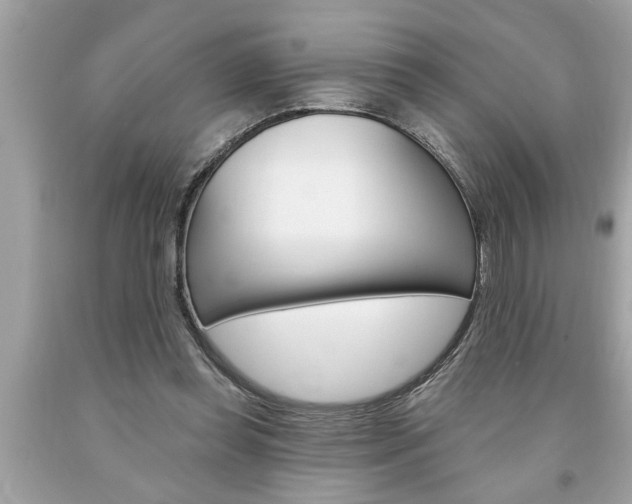 X0000094170349200710260914