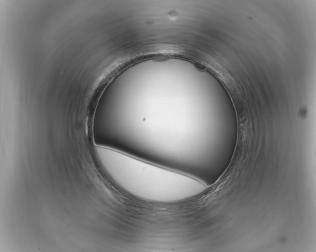 X0000094170350200710260914