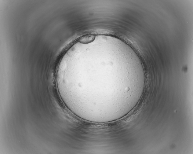 X0000094170351200710260914
