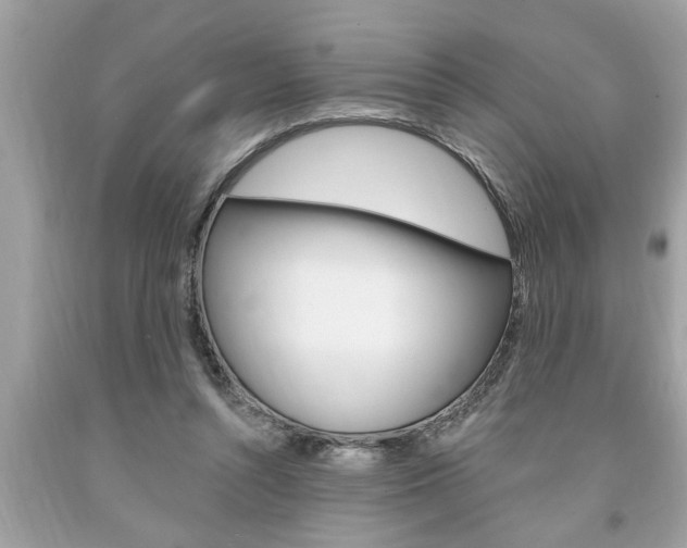 X0000094170352200710260914
