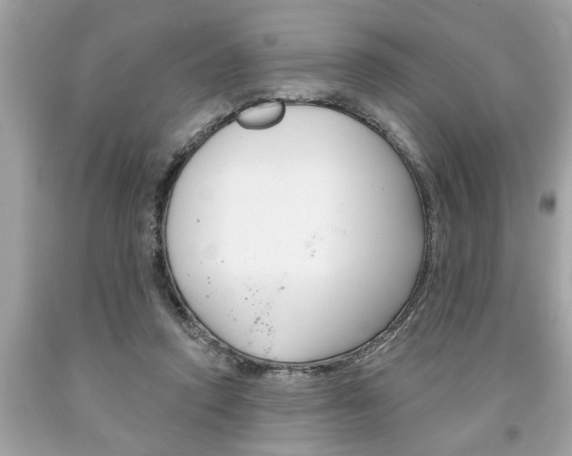 X0000094170354200710260914