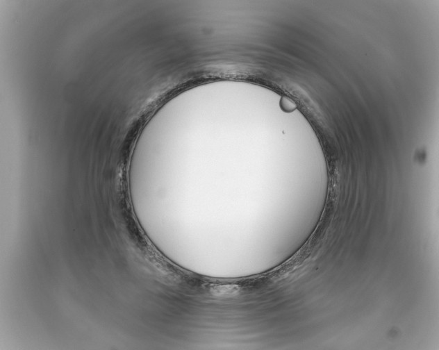 X0000094170355200710260914