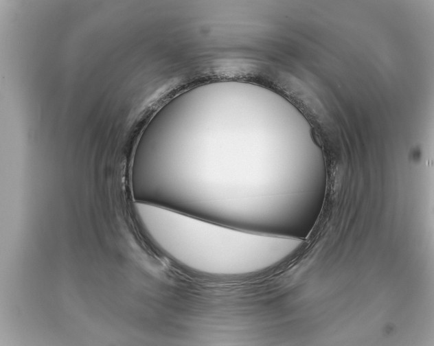 X0000094170356200710260914
