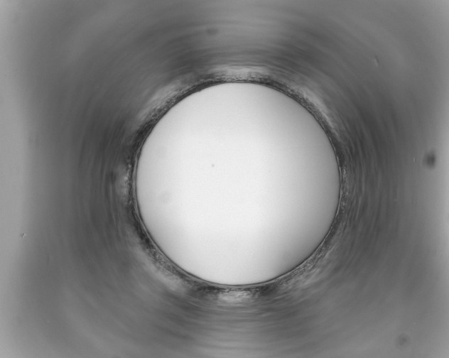 X0000094170357200710260914