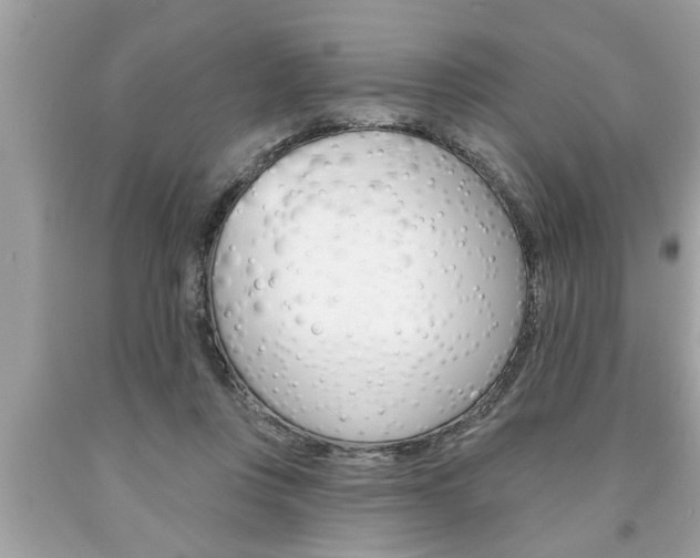 X0000094170359200710260914