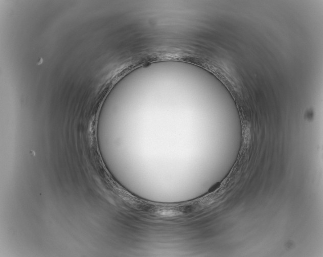 X0000094170360200710260914