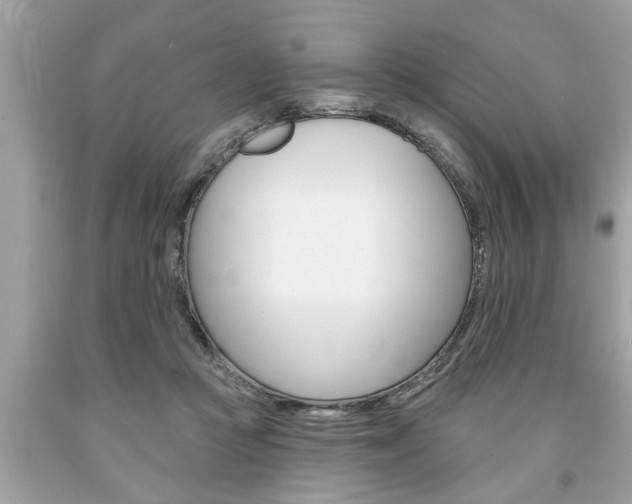 X0000094170361200710260914