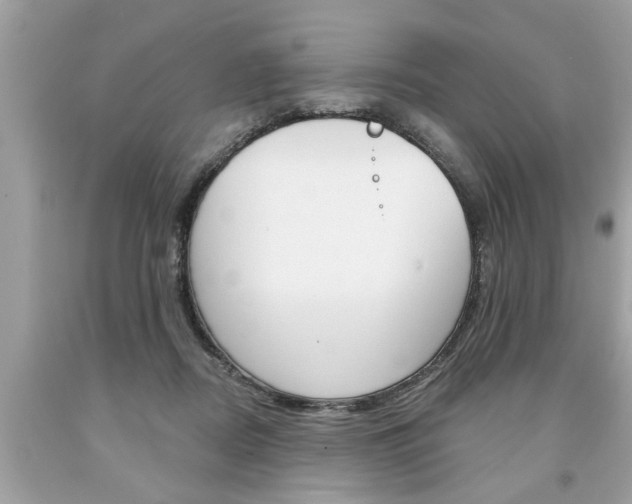 X0000094170362200710260914