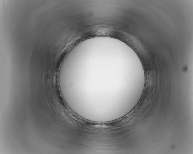 X0000094170363200710260914
