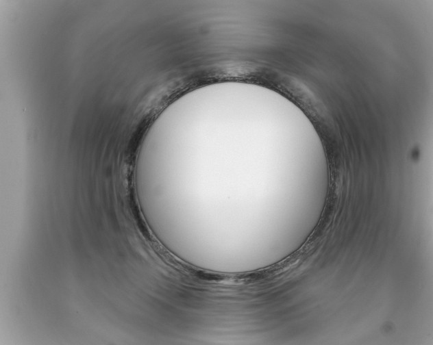 X0000094170366200710260914