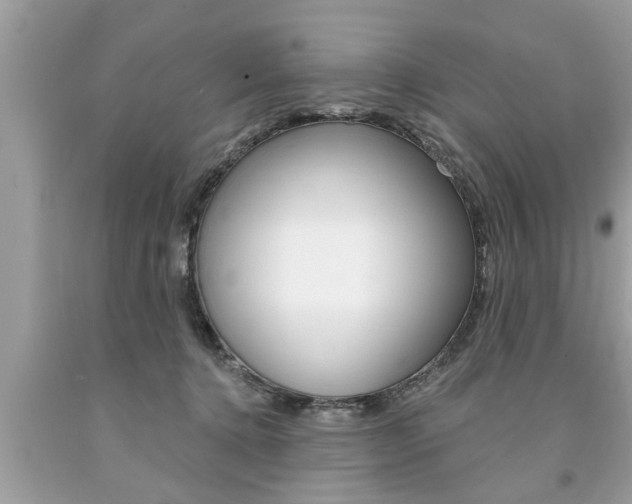 X0000094170368200710260914