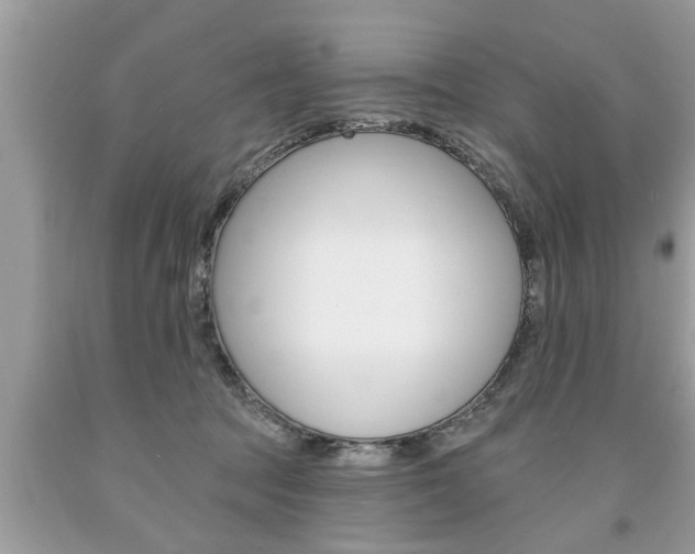 X0000094170369200710260914