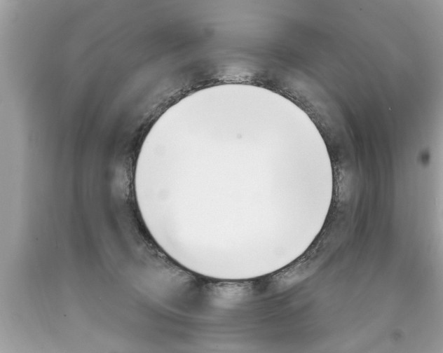 X0000094170370200710260914